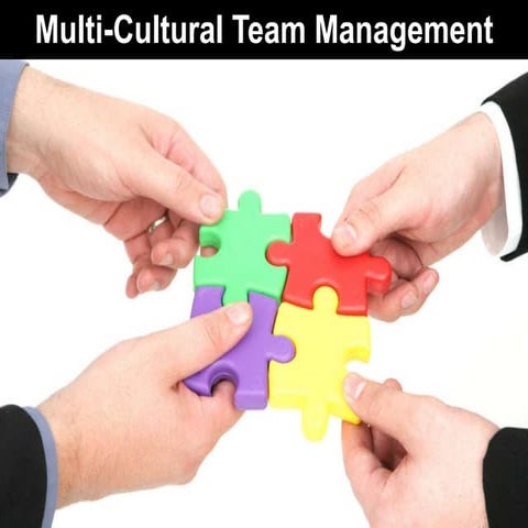 Multi Cultural Team Management