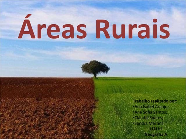 Multifuncionalidade 11ºlh1