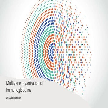 Multigene organization of immunoglobulins