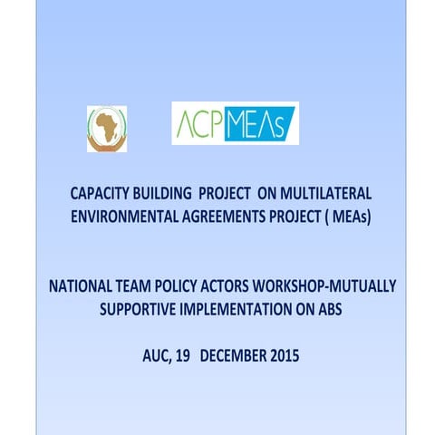 Multilateral environmental agreements