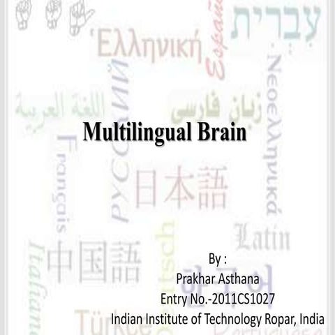 Multilingual brain 