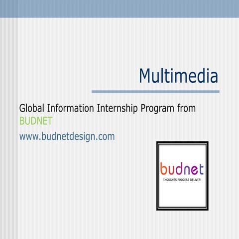 Multimedia
