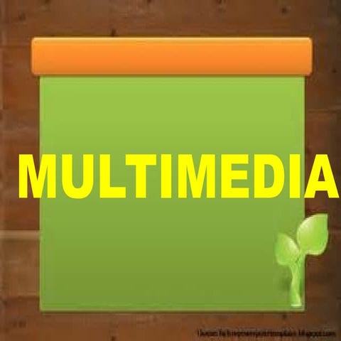 Multimedia