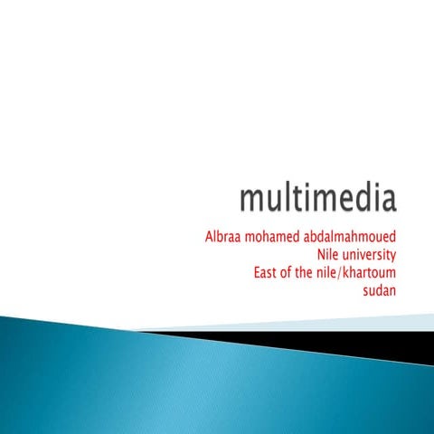 Multimedia