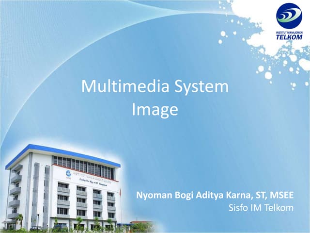 Multimedia Object - Image