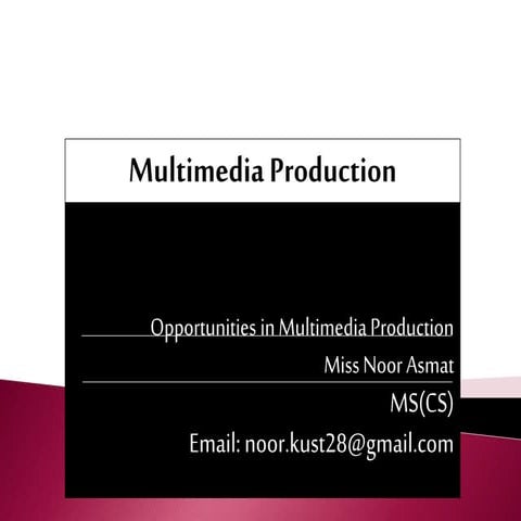 Multimedia an introduction chapter-2