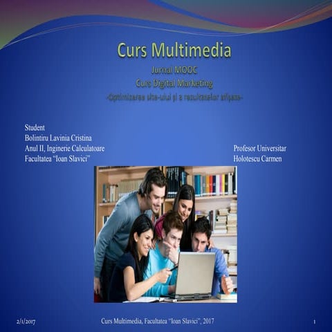 Curs Multimedia Digital Marketing Lavinia Bolintiru