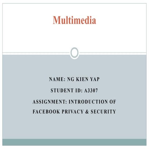 Multimedia facebook report
