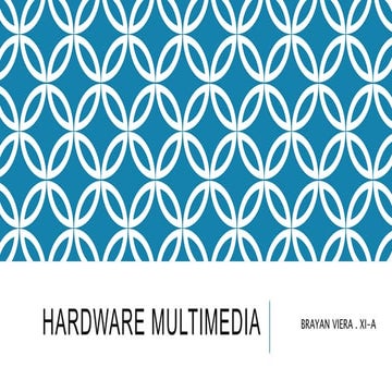 Multimedia hardware - Brayan Viera XI-A