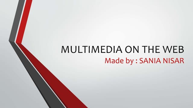 Multimedia on the web by Sania Nisar