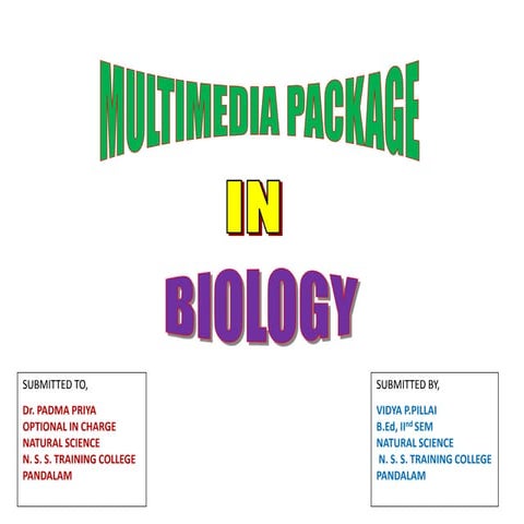 Multimediapackage powerpoint