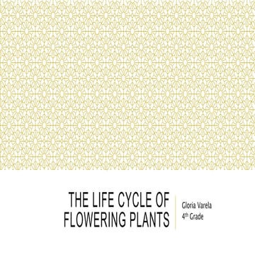 Multimedia presentation gloria varela