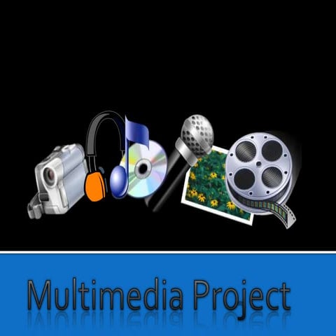 Multimedia project