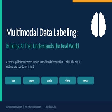 Multimodal Data Labeling Building AI That Understands the Real World | PPTX