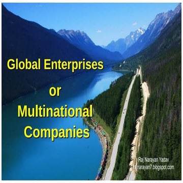 Multinational companies.pdf
