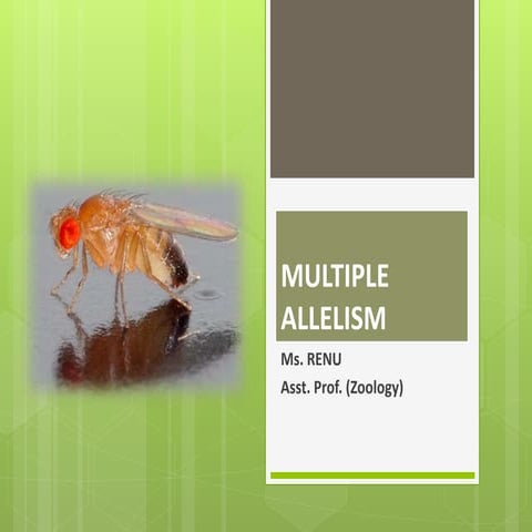 Multiple allelism 