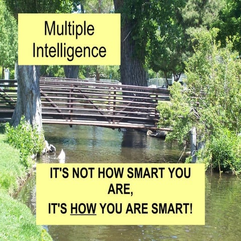 Multiple intelligence