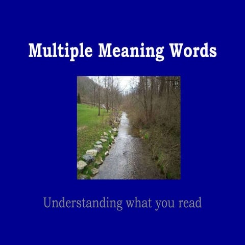 Multiple meaning words