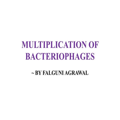Multiplication of bacteriophages