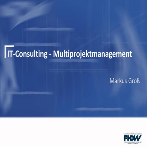 IT Consulting - Multiprojektmanagement