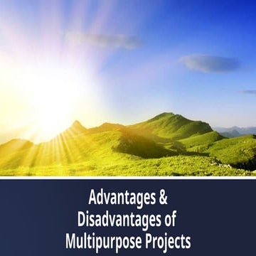 Advantages and Disadvantages of Multipurpose Projects | PDF