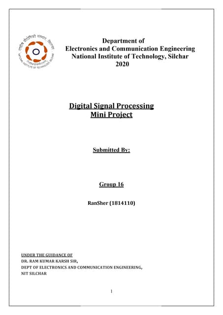 Multirate signal processing and decimation interpolation