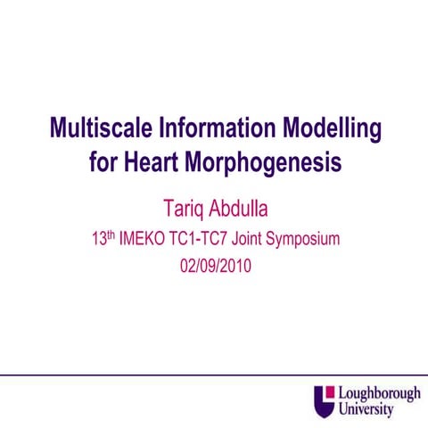 Multiscale information modelling for heart morphogenesis, Abdulla IMEKO 2010