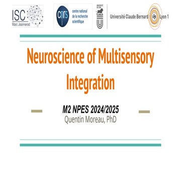 Multisensory Integration - Master Level lecture