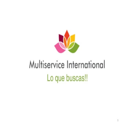 Multiservice international | PDF