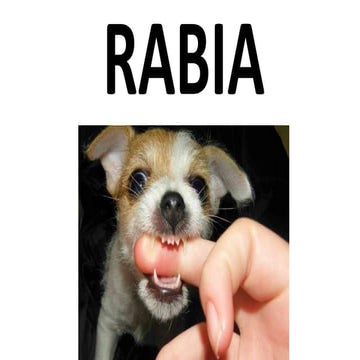 la rabia .pptx materia de nuerologia harrison | PPTX