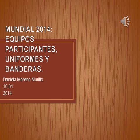 Banderas y Camisetas Del Mundial 2014