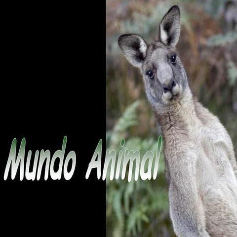Mundoanimal
