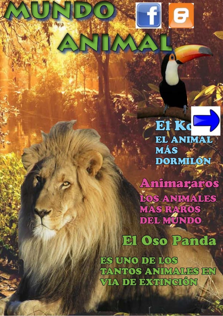 Que Tiene Los Pandas Que No Tenga Ningún Otro Animal Mundoanimal