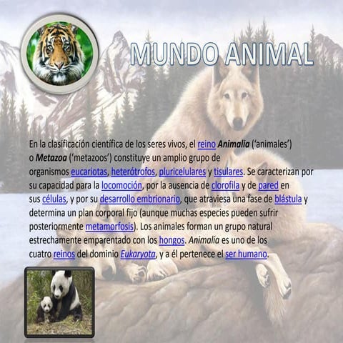 Mundo animal