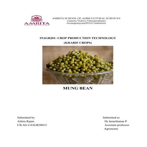 MUNG BEAN.pdf
