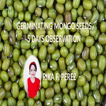7-day experiment observing the growth of monggo seeds | PPTX