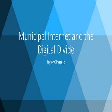 Municipal internet and the Digital Divide