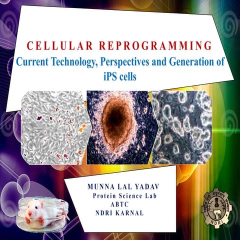 CELLULAR REPROGRAMMING: Current Technology, Perspectives and Generation of iP...