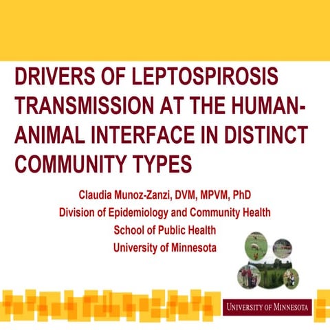 Drivers of Leptospirosis Transmission at the Human-Animal Interface in Distin...