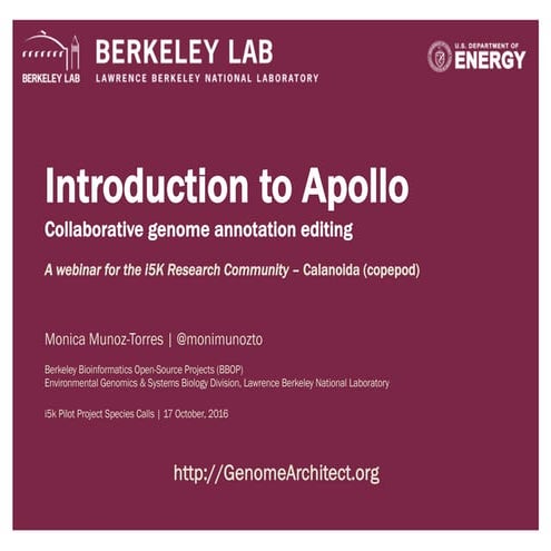 Introduction to Apollo - i5k Research Community – Calanoida (copepod)