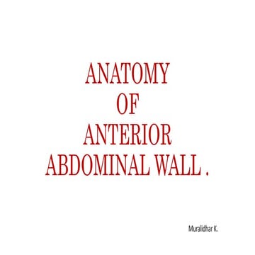 ANTERIOR ABDOMINAL WALL
