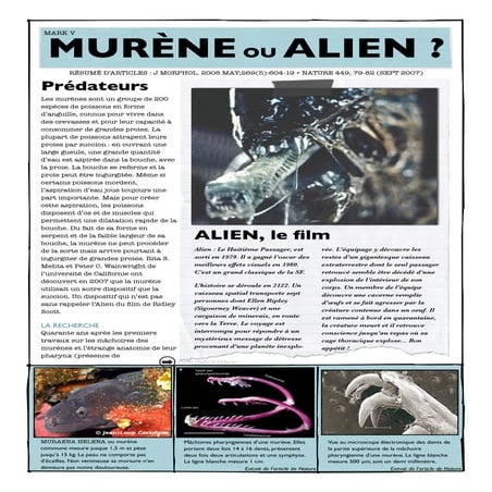 Murène ou Alien ?