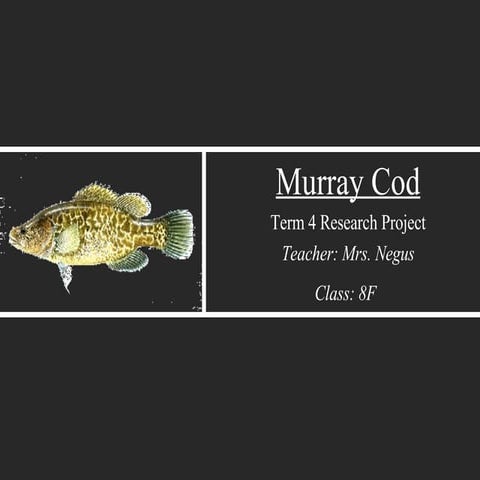 Cod Fish: Introduction and Importance... | PDF