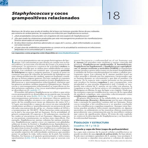 murray cap 18,19,20,21.pdf