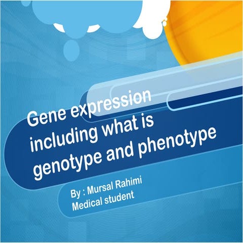 Mursal Rahimi presentations about genotype