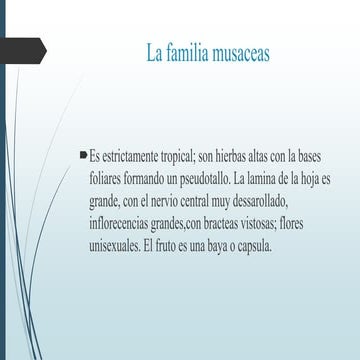 Musaceas | PPTX