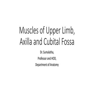 muscels of the upper Limb edited(1).pptx