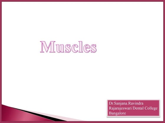 Insect Muscular System | PPTX | Biological Sciences | Science