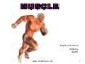 Skeletal System