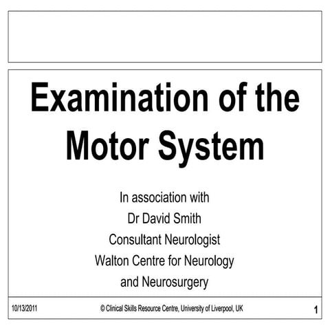 Muscle Power and Tone Examination